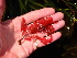  ( - GWS038058)  @11 [ ] Unspecified (default): All Rights Reserved  Unspecified Unspecified