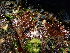  ( - GWS038095)  @11 [ ] Unspecified (default): All Rights Reserved  Unspecified Unspecified