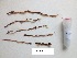  ( - GWS038145)  @11 [ ] Unspecified (default): All Rights Reserved  Unspecified Unspecified
