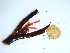  ( - GWS038404)  @11 [ ] Unspecified (default): All Rights Reserved  Unspecified Unspecified