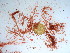 ( - GWS038420)  @11 [ ] Unspecified (default): All Rights Reserved  Unspecified Unspecified