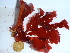  ( - GWS038423)  @11 [ ] Unspecified (default): All Rights Reserved  Unspecified Unspecified
