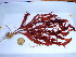  ( - GWS038426)  @11 [ ] Unspecified (default): All Rights Reserved  Unspecified Unspecified
