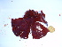  ( - GWS038430)  @11 [ ] Unspecified (default): All Rights Reserved  Unspecified Unspecified