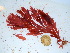  ( - GWS038441)  @11 [ ] Unspecified (default): All Rights Reserved  Unspecified Unspecified