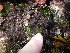  ( - GWS038512)  @11 [ ] Unspecified (default): All Rights Reserved  Unspecified Unspecified