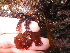  ( - GWS038555)  @11 [ ] Unspecified (default): All Rights Reserved  Unspecified Unspecified