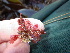  ( - GWS038604)  @11 [ ] Unspecified (default): All Rights Reserved  Unspecified Unspecified