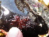  ( - GWS038621)  @11 [ ] Unspecified (default): All Rights Reserved  Unspecified Unspecified