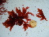  ( - GWS038646)  @11 [ ] Unspecified (default): All Rights Reserved  Unspecified Unspecified