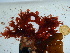  ( - GWS038658)  @11 [ ] Unspecified (default): All Rights Reserved  Unspecified Unspecified