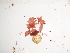  ( - GWS038691)  @11 [ ] Unspecified (default): All Rights Reserved  Unspecified Unspecified