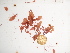  ( - GWS038692)  @11 [ ] Unspecified (default): All Rights Reserved  Unspecified Unspecified
