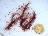  ( - GWS038906)  @11 [ ] Unspecified (default): All Rights Reserved  Unspecified Unspecified