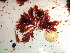  ( - GWS039080)  @11 [ ] Unspecified (default): All Rights Reserved  Unspecified Unspecified