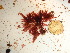  ( - GWS039082)  @11 [ ] Unspecified (default): All Rights Reserved  Unspecified Unspecified