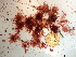  ( - GWS039085)  @11 [ ] Unspecified (default): All Rights Reserved  Unspecified Unspecified