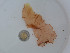  ( - GWS039187)  @11 [ ] Unspecified (default): All Rights Reserved  Unspecified Unspecified