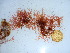  ( - GWS039235)  @11 [ ] Unspecified (default): All Rights Reserved  Unspecified Unspecified