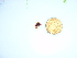  ( - GWS039310)  @11 [ ] Unspecified (default): All Rights Reserved  Unspecified Unspecified