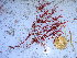  ( - GWS039324)  @11 [ ] Unspecified (default): All Rights Reserved  Unspecified Unspecified