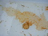  ( - GWS039412)  @11 [ ] Unspecified (default): All Rights Reserved  Unspecified Unspecified