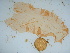  ( - GWS039413)  @11 [ ] Unspecified (default): All Rights Reserved  Unspecified Unspecified