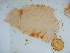  ( - GWS039414)  @11 [ ] Unspecified (default): All Rights Reserved  Unspecified Unspecified
