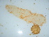  ( - GWS039415)  @11 [ ] Unspecified (default): All Rights Reserved  Unspecified Unspecified