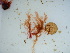  ( - GWS039423)  @11 [ ] Unspecified (default): All Rights Reserved  Unspecified Unspecified