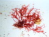  ( - GWS039640)  @11 [ ] Unspecified (default): All Rights Reserved  Unspecified Unspecified
