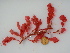  ( - GWS039923)  @11 [ ] Unspecified (default): All Rights Reserved  Unspecified Unspecified