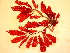  ( - GWS040024)  @11 [ ] Unspecified (default): All Rights Reserved  Unspecified Unspecified