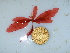  ( - GWS040066)  @11 [ ] Unspecified (default): All Rights Reserved  Unspecified Unspecified