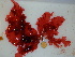  ( - GWS040099)  @11 [ ] Unspecified (default): All Rights Reserved  Unspecified Unspecified