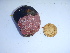  ( - GWS040283)  @11 [ ] Unspecified (default): All Rights Reserved  Unspecified Unspecified