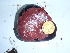 ( - GWS040286)  @11 [ ] Unspecified (default): All Rights Reserved  Unspecified Unspecified