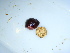  ( - GWS040338)  @11 [ ] Unspecified (default): All Rights Reserved  Unspecified Unspecified