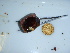  ( - GWS040349)  @11 [ ] Unspecified (default): All Rights Reserved  Unspecified Unspecified