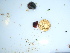  ( - GWS040351)  @11 [ ] Unspecified (default): All Rights Reserved  Unspecified Unspecified