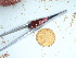  ( - GWS040431)  @11 [ ] Unspecified (default): All Rights Reserved  Unspecified Unspecified