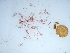  ( - GWS040433)  @11 [ ] Unspecified (default): All Rights Reserved  Unspecified Unspecified