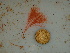 ( - GWS040676)  @11 [ ] Unspecified (default): All Rights Reserved  Unspecified Unspecified