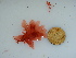  ( - GWS040698)  @11 [ ] Unspecified (default): All Rights Reserved  Unspecified Unspecified