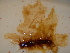  ( - GWS040747)  @11 [ ] Unspecified (default): All Rights Reserved  Unspecified Unspecified