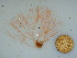  ( - GWS040824)  @11 [ ] Unspecified (default): All Rights Reserved  Unspecified Unspecified