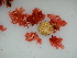  ( - GWS040940)  @11 [ ] Unspecified (default): All Rights Reserved  Unspecified Unspecified