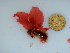  ( - GWS040961)  @11 [ ] Unspecified (default): All Rights Reserved  Unspecified Unspecified