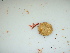  ( - GWS040971)  @11 [ ] Unspecified (default): All Rights Reserved  Unspecified Unspecified