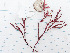  ( - GWS041119)  @11 [ ] Unspecified (default): All Rights Reserved  Unspecified Unspecified